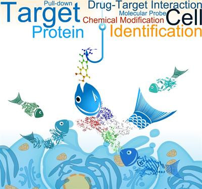 Cover image for research topic "Advances in Drug Target Identification: Methodologies and Applications"