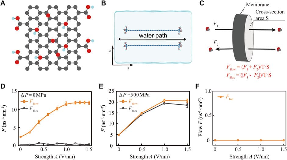 Electromagnetic (EM) stimulus at a specific frequency significantly enhances the permeability of the functionalized membrane for water. (A) Structural model of the normal GO plate. The gray, red, and cyan balls represent carbon, oxygen, and hydrogen atoms, respectively. (B) Schematic diagram of the GO membrane model by stacking two sheets of GO in parallel. (C) Schematic diagram for distinguishing water flow and flux, where flow and flux are the sum and difference of water molecules between the forward transport (F1) and the backward transport (F2), respectively. (D) Transition to a super permeation state of confined water modulated by 44.0 THz EM stimuli (orange curve) at different strengths (A) without the gradient field. (E) In the presence of a gradient field with a 500 MPa pressure difference, 44.0 THz EM stimulus enhances both the water flow and flux through the GO membrane. (F) EM stimulus did not enhance the permeability of ions due to the steric effect.