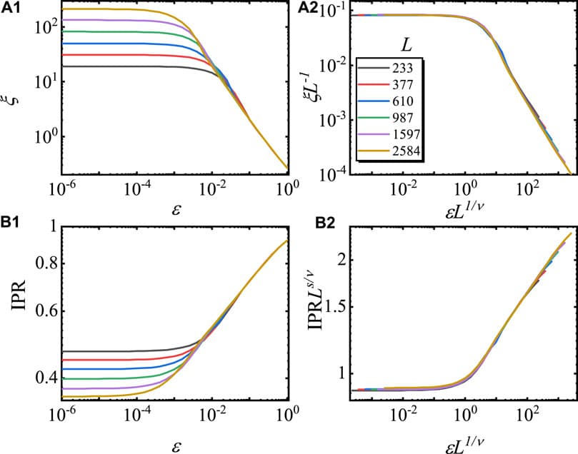 Finite scaling of ξ and IPR of the ground state in the localized phase. The curves of ξ versus ɛ before (A1) and after (A2) rescaling, according to Eq. 5 for different L values. The curves of the IPR versus ɛ before (B1) and after (B2) rescaling, according to Eq. 8 for different L values. Here, g = 0.5, ɛ > 0, and the model is in the localized phase region. Double-log scales are used, and the results are averaged for 100 choices of ϕ.