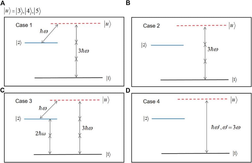 The four cases with the consideration of different coupling conditions. (A) Case 1: The one-photon coupling between |2⟩ and |u⟩ and the three-photon coupling between |1⟩ and |u⟩ are considered. (B) Case 2: Only the three-photon coupling between |1⟩ and |u⟩ is considered. (C) Case 3: All the one-, two- and three-photon couplings are taken into account. In Cases 1–3, the laser wavelength is 840 nm. (D) Case 4: The one-photon coupling between |1⟩ and |u⟩ is considered with the wavelength setting to be 280 nm.