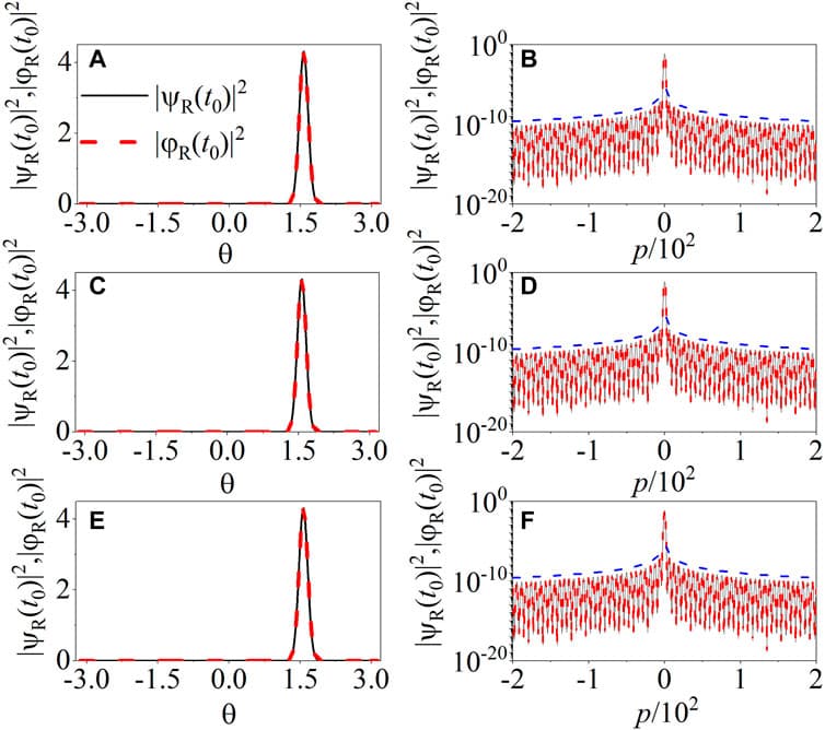 Comparison of the distribution of states |ψR (t0)⟩ (solid lines) and |φR (t0)⟩ (dashed lines) in real (A, C, E) and momentum space (B, D, F) with B = p (top panels), p2 (middle panels), and p3 (bottom panels). Blue dashed lines in (B, D, F) indicate the power-law decay |ψR (t0)|2 (|φR (t0)|2) ∝ p−2. The parameters are the same as in Figure 2.