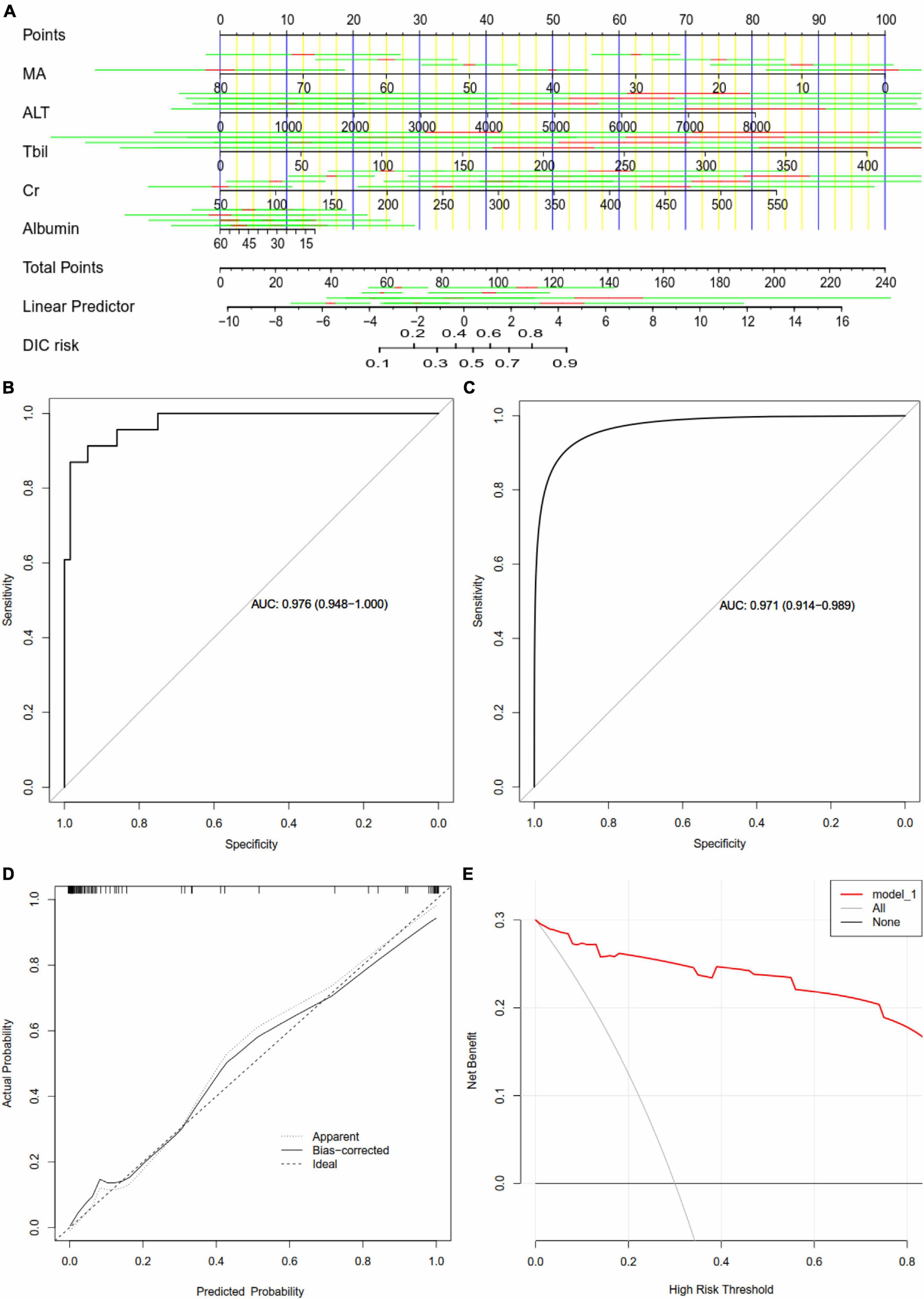 Assessment of a nomogram based on five predictors of disseminated intravascular coagulation (DIC) in patients with heatstroke. (A) Nomogram for predicting DIC in patients with heatstroke. (B) Receiver operating characteristic curves assessing the ability of the nomogram to predict DIC. (C) Internal validation using the bootstrap method (resampling = 500). (D) Calibration curve of the predictive model showing the degree of consistency between the predicted probability and actual probability (the Hosmer–Lemeshow test, P > 0.05, suggesting that it is of goodness-of-fit). (E) Decision curve analysis to assess the clinical benefit of the predictive nomogram. ALT, alanine transaminase; AUC, areas under receiver operating characteristic curves; Cr, creatinine; MA, maximum amplitude; Tbil, total bilirubin.