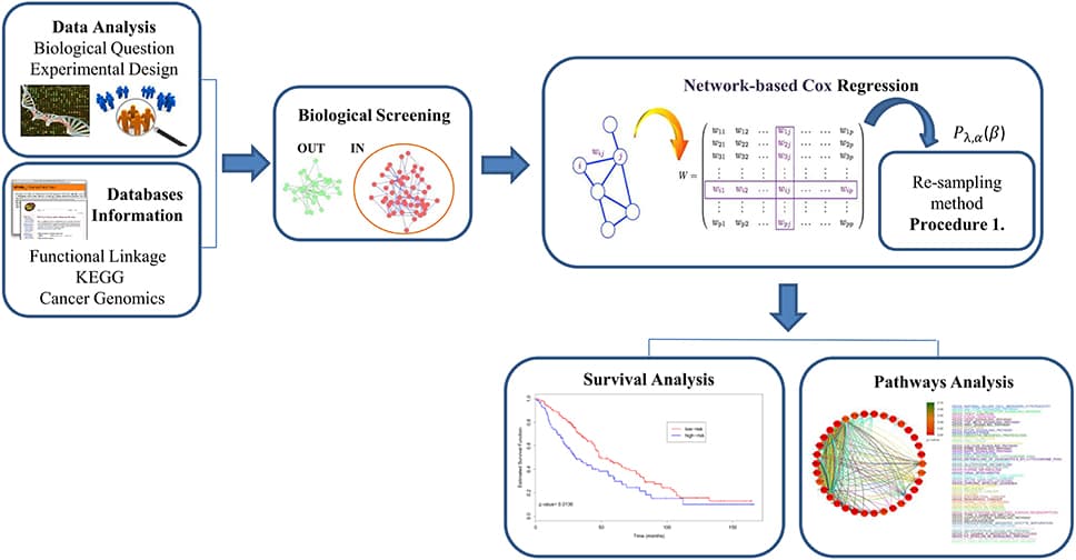 The pipeline of network-based Cox models approach for cancer survival analysis in four general steps. (1) Define the biological question and the experimental design and then, integrate a-priori biological information using functional map of the human genome; (2) perform biological screening of the data in order to select IN variables to use in the analysis; (3) implement network-based Cox regression models with the integration of a re-sampling method based on a cross-validated approach; (4) apply survival analysis to predict cancer patients and pathway analysis to explore groups of genes associated to the disease.