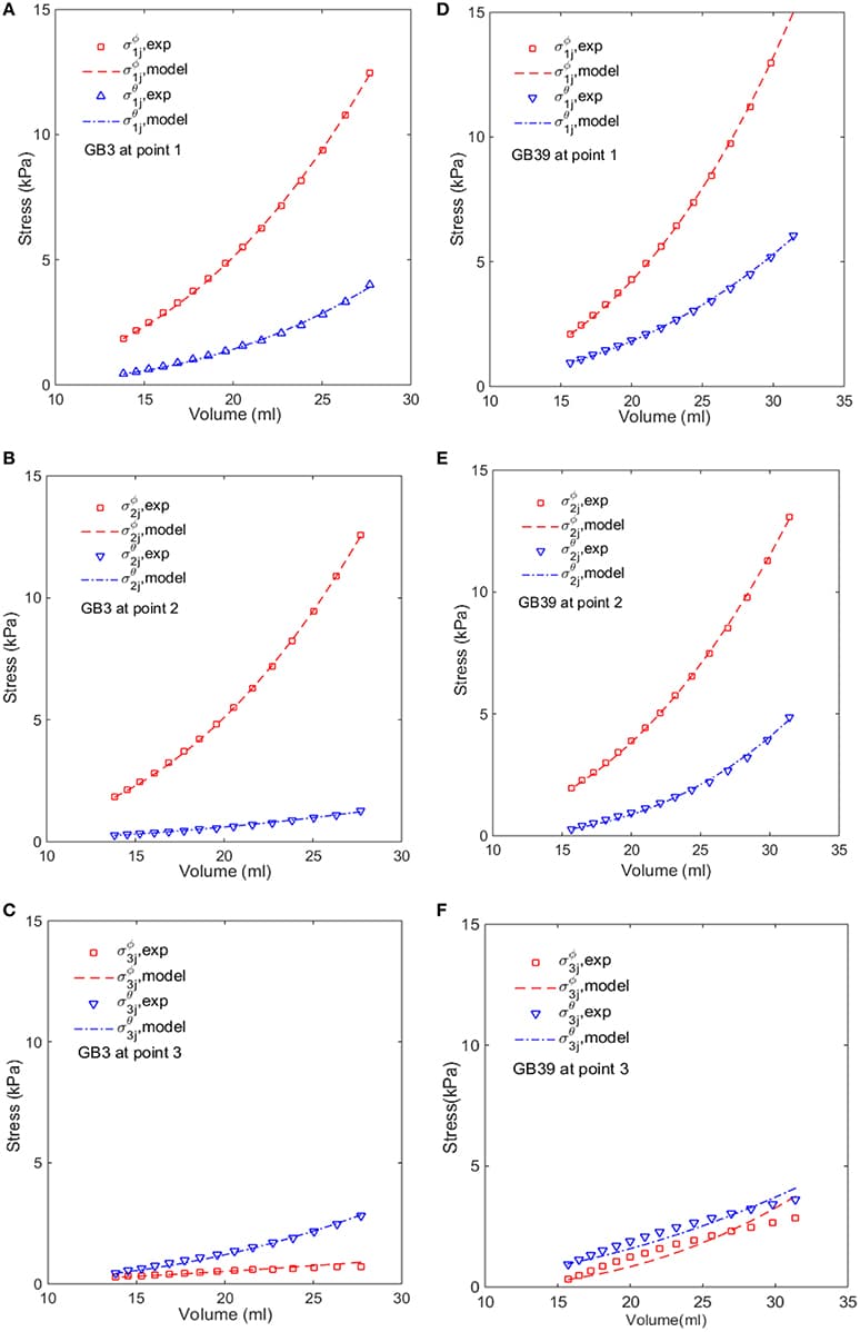 Comparison of the modeled (lines) and estimated (symbols) circumferential and longitudinal stresses with the image-based ellipsoid membrane mechanic model at points 1, 2, 3, for GB 3 (A–C), and GB 39 (D–F).