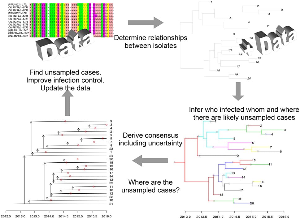 Mathematical modeling is central to genomic epidemiology. In precision healthcare, models that link clinical, epidemiological, and sequencing data and produce interpretable results—such as predictions for where cases have been missed—can be used to direct public health interventions.