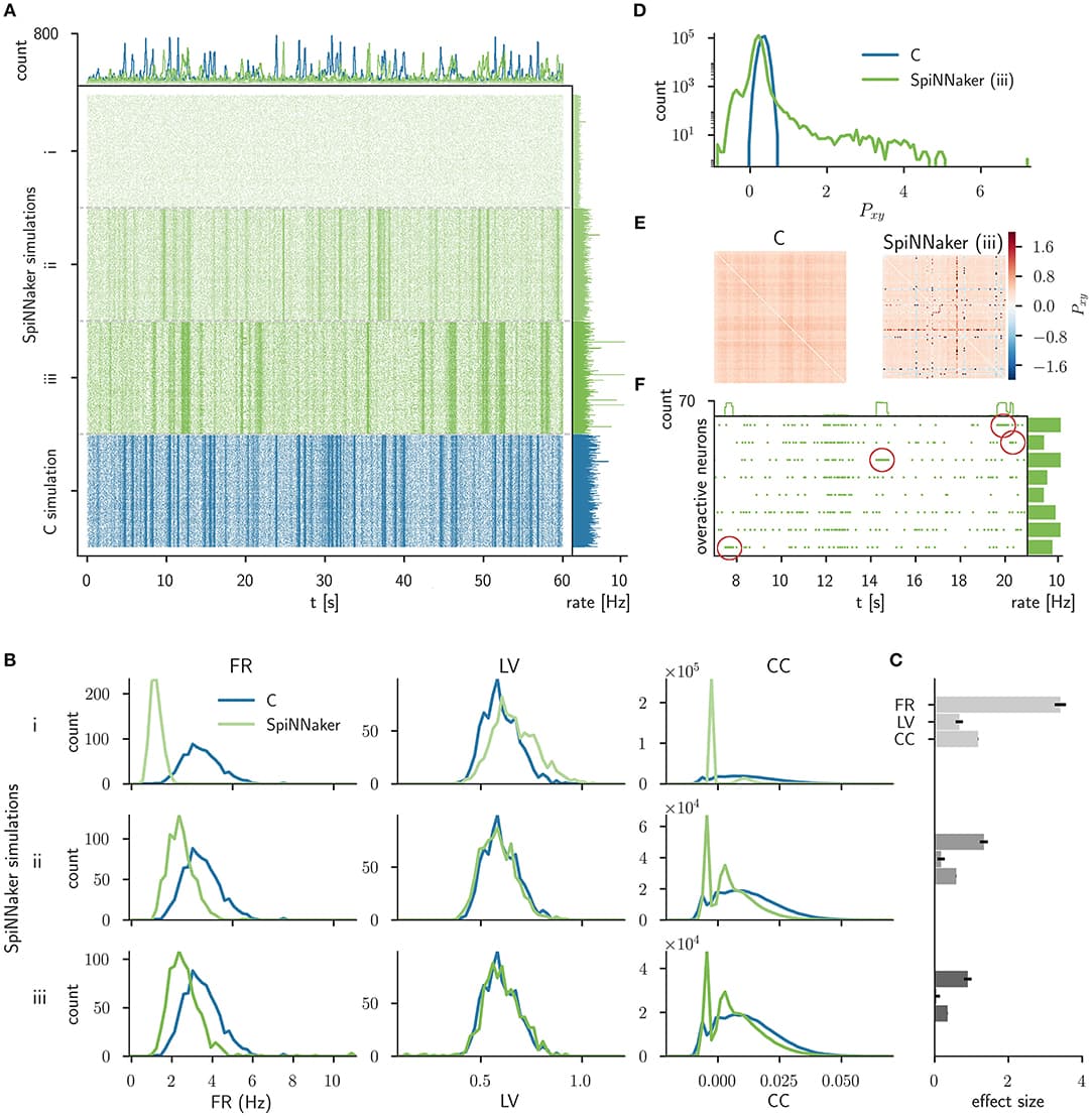 Comparison of the C simulation with simulations of three consecutive stages of the SpiNNaker implementation. (A) Raster plot of the spiking network activity (800 excitatory neurons) of the C simulation (bottom, blue) and three stages of the SpiNNaker implementation; i, ii, and iii (top, shades of green). The top and right histograms show the population spike counts in 60 ms bins and the mean firing rates, respectively. (B) Distributions of firing rates (FR, left), local coefficients of variation (LV, middle), and correlation coefficients (CC, right) for the C and SpiNNaker simulations. Each row (subsequent implementation steps: i, ii, iii) represents a specific SpiNNaker simulation (green) that differs in the underlying neuron model implementation. Data shown for the C simulation (blue) are identical in the three rows. (C) The difference between the distributions is quantified by the effect size with error bars indicating the 95% confidence interval. In step iii the effect sizes for the FR, LV, and CC measure are 0.90, 0.05, and 0.36, respectively. (D) Distributions of the sum of the cross-correlation coefficient (Pxy, Equation 7) in logarithmic representation for C and SpiNNaker (implementation step iii). (E) Color coded correlation matrices for the sum of the cross-correlation coefficient in implementation step iii. The symmetric matrices display results for the subset of 100 excitatory neurons with highest spike rates in the SpiNNaker simulation. (F) Raster plot of 8 overactive neurons in the SpiNNaker simulation (implementation step iii) showing episodes of 1 kHz spiking (emphasized by red markers). The top and right histograms show the population spike counts in 60 ms bins and the mean firing rates for the entire recording, respectively.