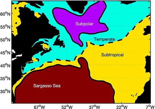 North Atlantic sub regions based on mean dynamic topography.