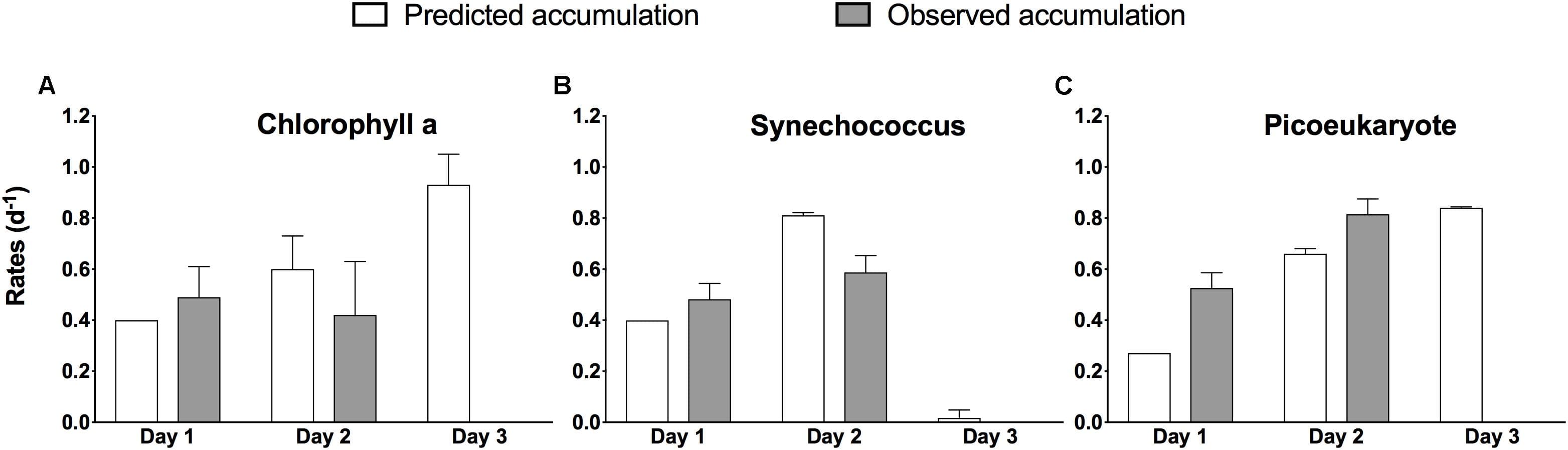 Comparison between accumulation rates predicted experimentally (white bars) and those observed in situ (gray bars) during the occupation of S4 during NAAMES II. Rates are based on change in total chlorophyll a (A) and based on change in abundance for Synechococcus (B), and pico-eukaryotes (C) and are given per day ±1 SD of the mean of duplicate experiments, except for Day 1 predicted rates (no error estimate). Nanoeukaryotes contributed <2% of total abundance and are omitted.