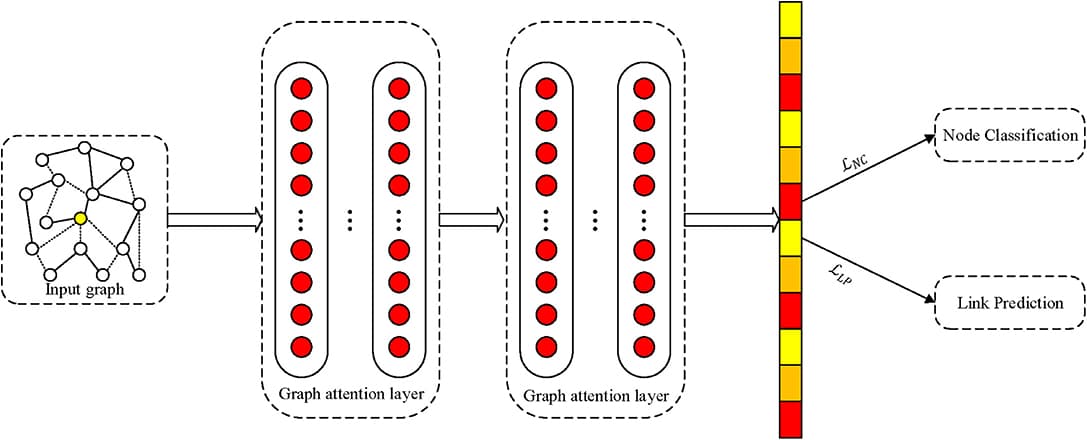 Schematic depiction of implementation of the proposed framework on graph attention networks.