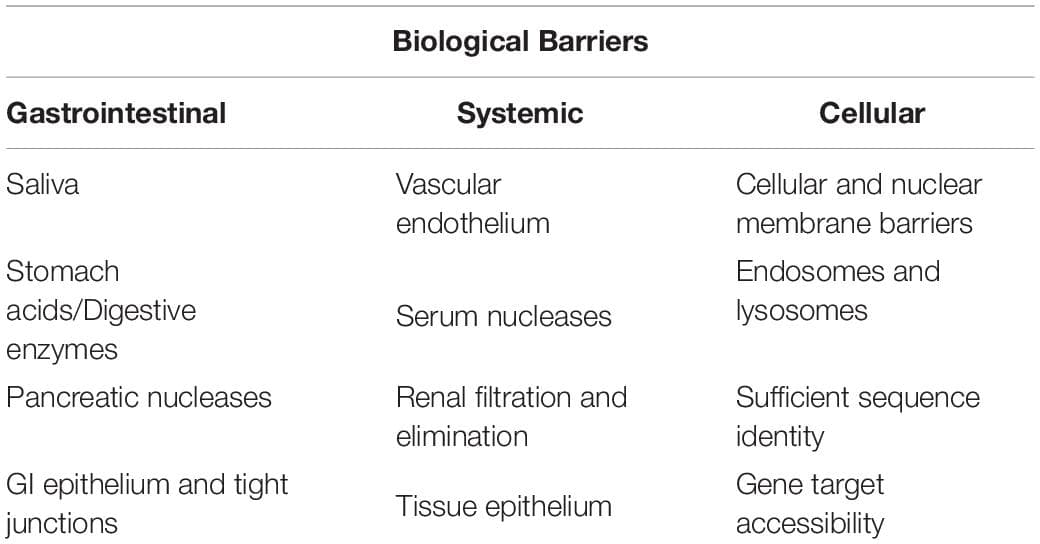 List of significant biological barriers to ingested RNAs in humans.