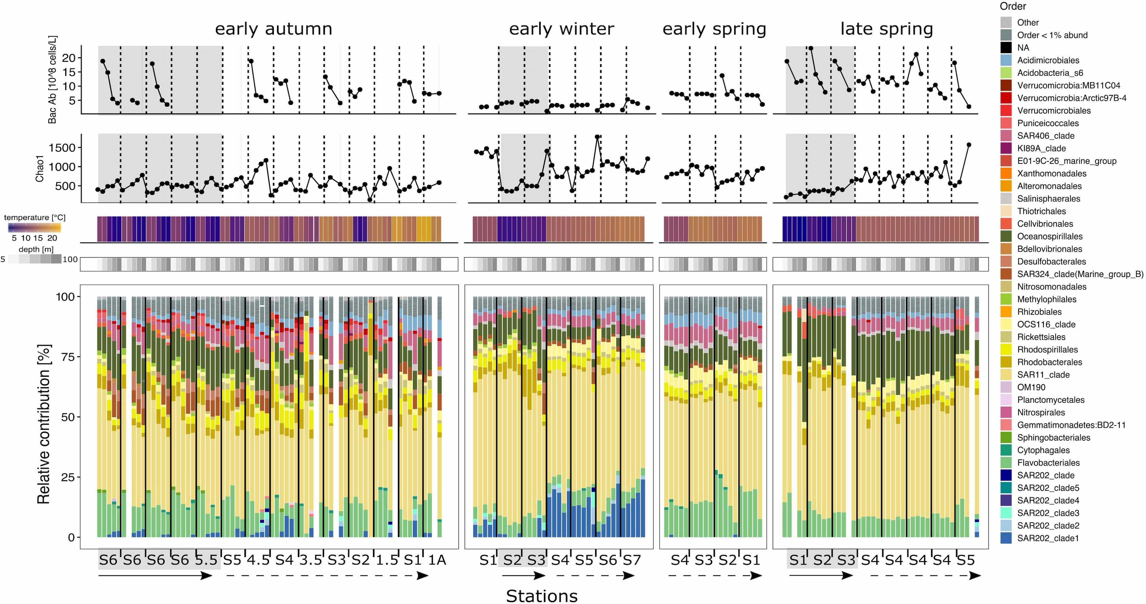 Environmental metadata and stacked bar plots of the taxonomic relative contributions to the bacterioplankton fraction for each station within each seasonal campaign in the euphotic zone. Top two panels: bacterioplankton abundance and Chao 1 richness. Temperature and depth heatmap cells and data points in the three line charts are aligned to the bacteria community composition representation below. Base barplots depict the relative contributions of the different taxonomic groups within the bacterioplankton fraction. Bars are organized by station from left to right in a north to south direction indicated by the straight arrow (subpolar) and the dashed arrow (subpolar), except early winter where S2 was the most northern station. Depths 5–100 m were analyzed and plotted for the bacterioplankton fractions. Within each station, depths are organized in a descending order from 5 to 100 m following a left to right direction. Blank columns represent samples that did not overcame the minimal sequences threshold or which sample was unsuccessful to generate amplicon sequences. Gray background shading indicates that the profile is biologically categorized as subpolar, while no shades represents subtropical.