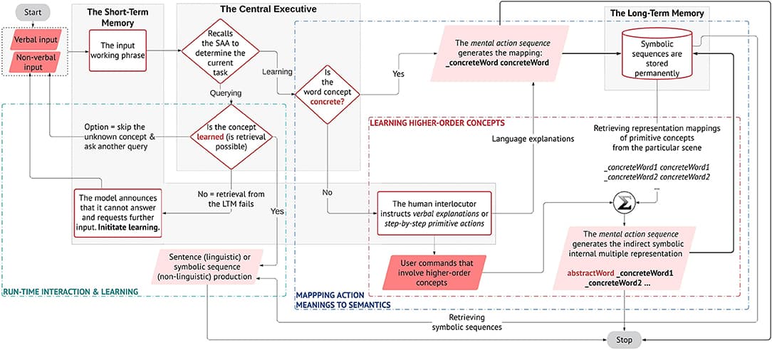 The proposed learning methodology of meanings and language constructions. The central executive (CE), the long-term memory (LTM), and the short-term memory (STM) of the architecture are shown. The CE handles the decision-dependent processes, but not in a conventional if-else logic; rather, decisions are made based on the state-action association that is learned, memorised, and rewarded during the initial training. As a result, it can disambiguate the type of task that is handled by the STM and call the respective mental action sequence. The STM elaborates the working phrases through the mental actions. The LTM stores the symbolic sequences and is accessed during phrase retrieval to produce a valid output. The parallelograms represent either the user's input (dark) or the system's output (light). The output can be a spoken sentence or a symbolic phrase (actions to be executed by the robot). The interlocutor decides preferentially at run-time to teach a new concept (object/action) or to query the model (e.g., to learn an object or to perform an action).