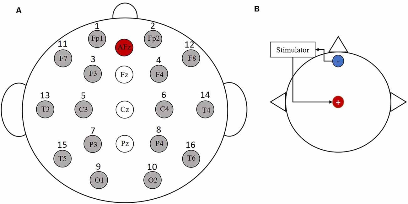 Electrode distribution and stimulation electrode location map. (A) The 16 Ag/AgCl electrodes were employed for data recording. (B) The anode is placed at the Cz and the cathode is placed at the forehead area.