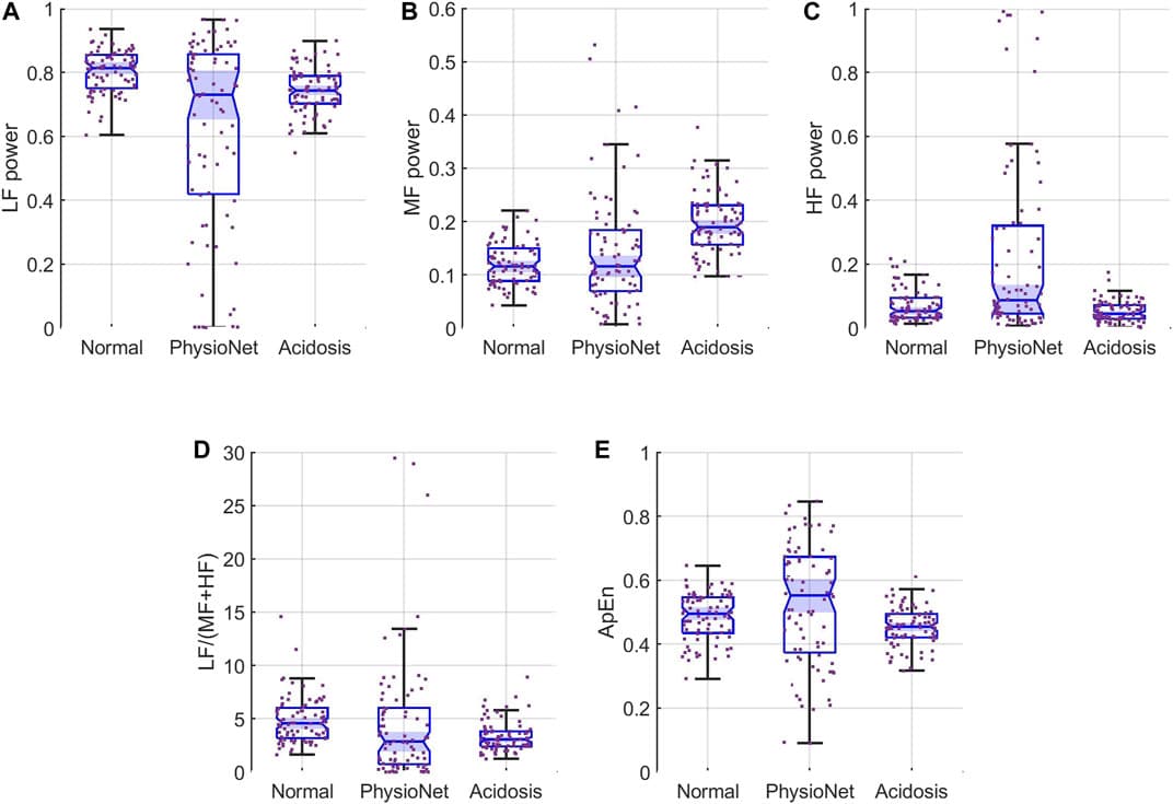 Feature distributions for (A) LF, (B) MF, and (C) HF (D) LF/(MF + HF) ratio, and (E) ApEn. Each panel show the samples (scattered points) and boxplots for the features for simulated normal (left), the PhysioNet data (middle), and simulated acidosis FHRRRI features (right). The notches, or indentations, in each boxplot indicate the 95% CI for the median of each distribution. These plots show that the PhysioNet data and the simulated normal are not significantly different for any of the features. In contrast, the simulated acidosis distributions are significantly different for the MF and ApEn.