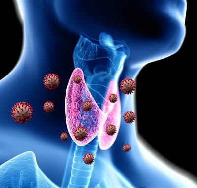 Cover image for research topic "The Thyroid and Covid-19"