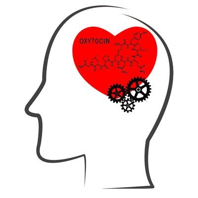 Cover image for research topic "Oxytocin in Brain Health and Disease: How can it exert such pleiotropic neuromodulatory effects?"