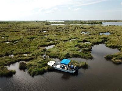 Cover image for research topic "Gulf of Mexico Estuaries: Ecology of the Nearshore and Coastal Ecosystems Impacted by the Deepwater Horizon Oil Spill"