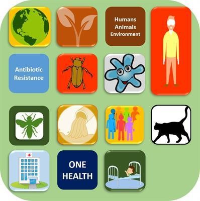 Cover image for research topic ""One Health" Approach For Revealing Reservoirs And Transmission Of Antimicrobial Resistance, Volume II"