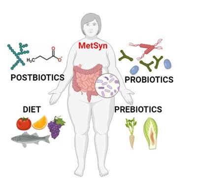 Cover image for research topic "Diet-Microbe-Host Interactions in Metabolic Syndrome"