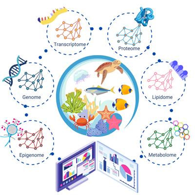 Cover image for research topic "Marine Omics in a Changing Ocean: Modelling Molecular Pathways and Networks to Understand Species Acclimation and Adaptation"