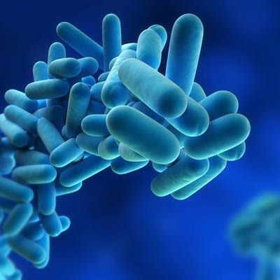 Cover image for research topic "Legionella pneumophila-Transmission, Pathogenesis, Host-pathogen interaction, Prevention and Treatment"