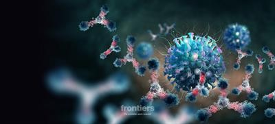 Cover image for research topic "Role of genetic and structural insights of neutralizing antibodies to guide viral vaccine design"
