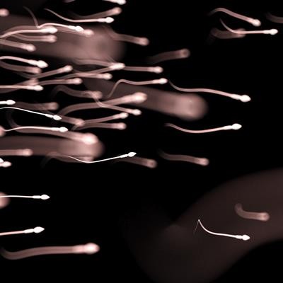 Cover image for research topic "Oxidative Stress and Male Fertility"