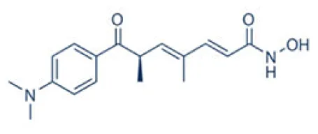 Frontiers | The emerging role of histone deacetylase 1 in allergic diseases