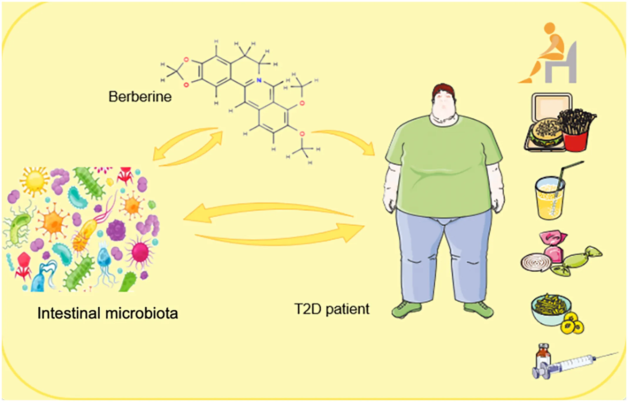 Frontiers | Multi-target regulation of intestinal microbiota by