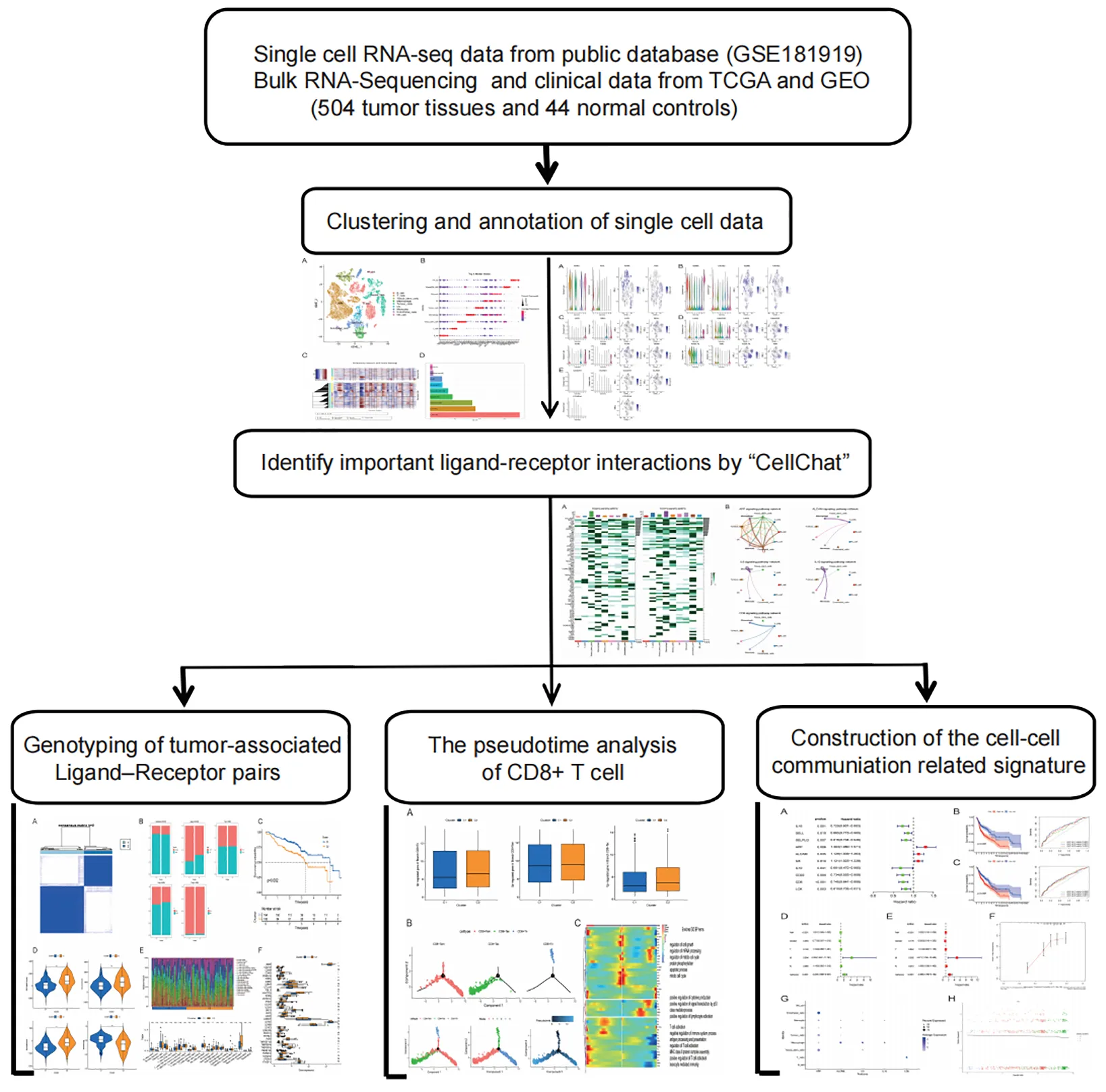 Frontiers | Identification and validation of a novel signature based on ...