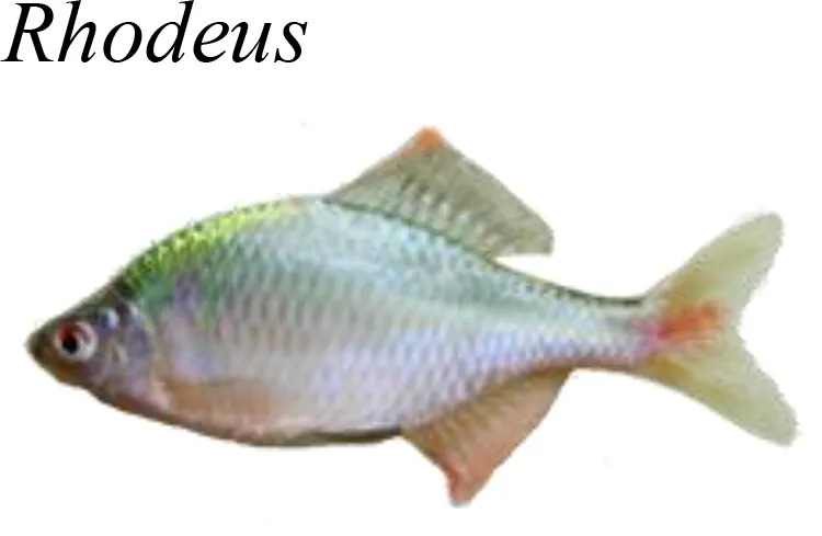 Frontiers | Using a new fish indicator-based index with scoring and ...