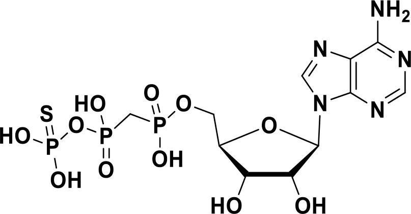 Frontiers | Small molecule innate immune modulators in cancer therapy
