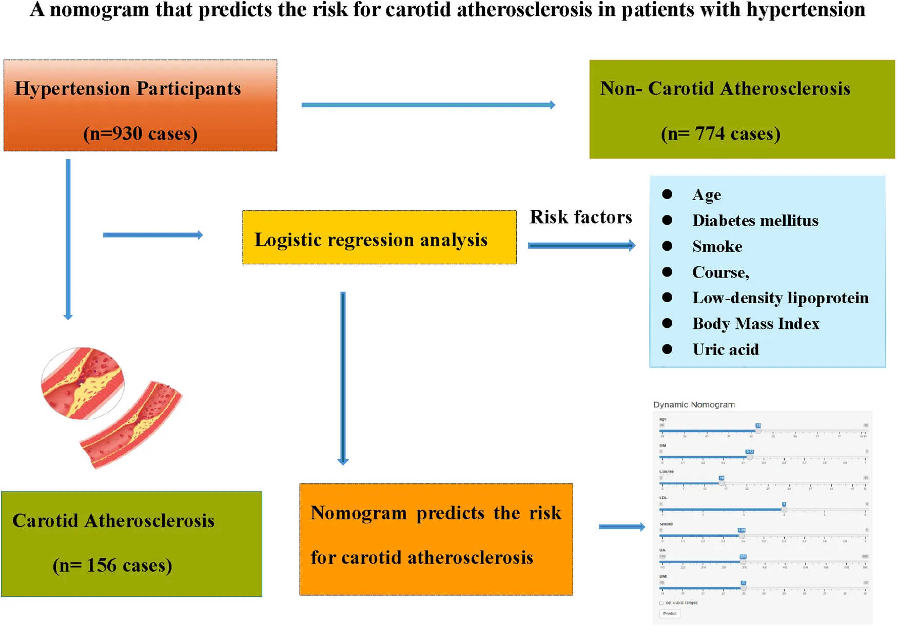 Frontiers | Development and validation of a nomogram based on LASSO ...