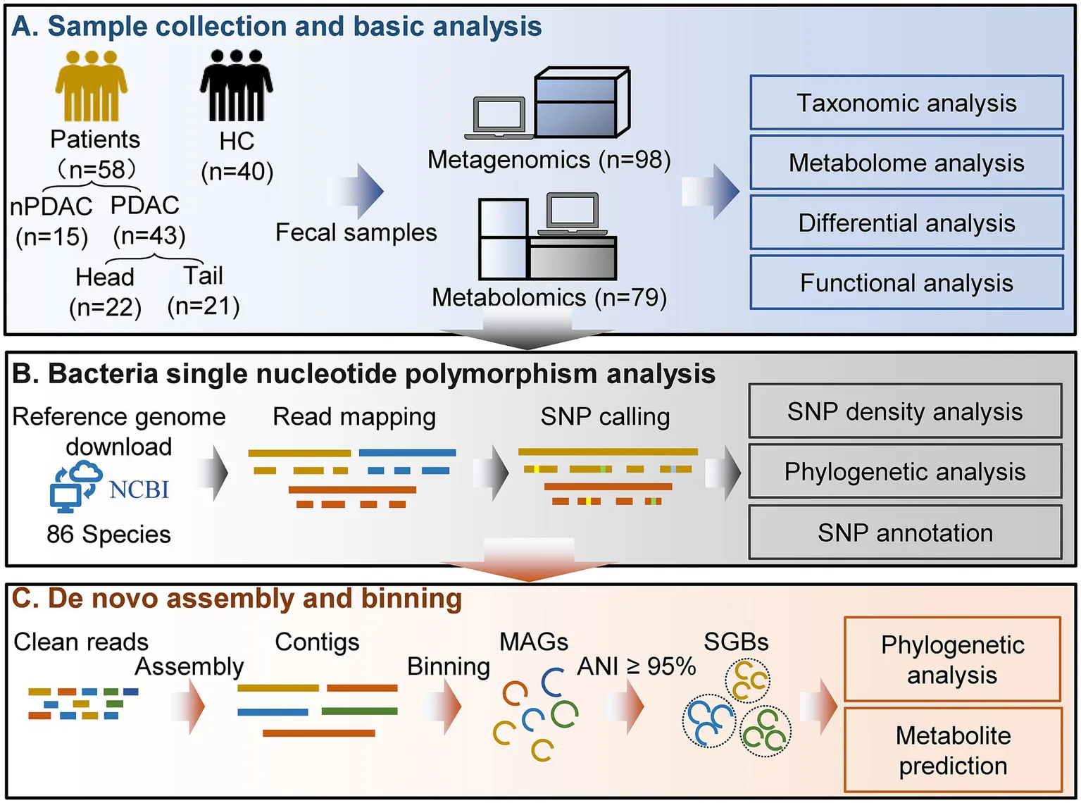 Frontiers | A comprehensive multi-omics analysis uncovers the ...