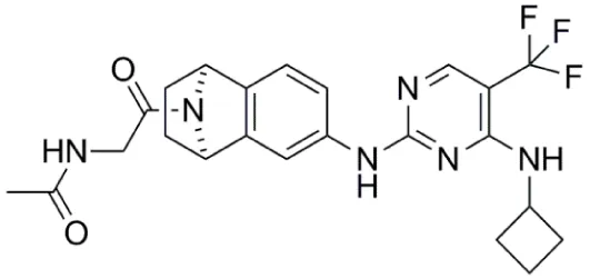 Frontiers | Aurora Kinase Inhibitors: Current Status and Outlook
