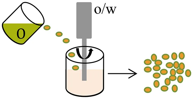 Frontiers | Bioerodable PLGA-Based Microparticles for Producing ...