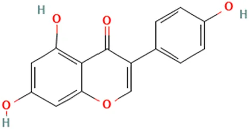 glutathione and tamoxifen Enhanced mitochondrial metabolism: A new mechanism for driving Role of Glutathione in Cancer: