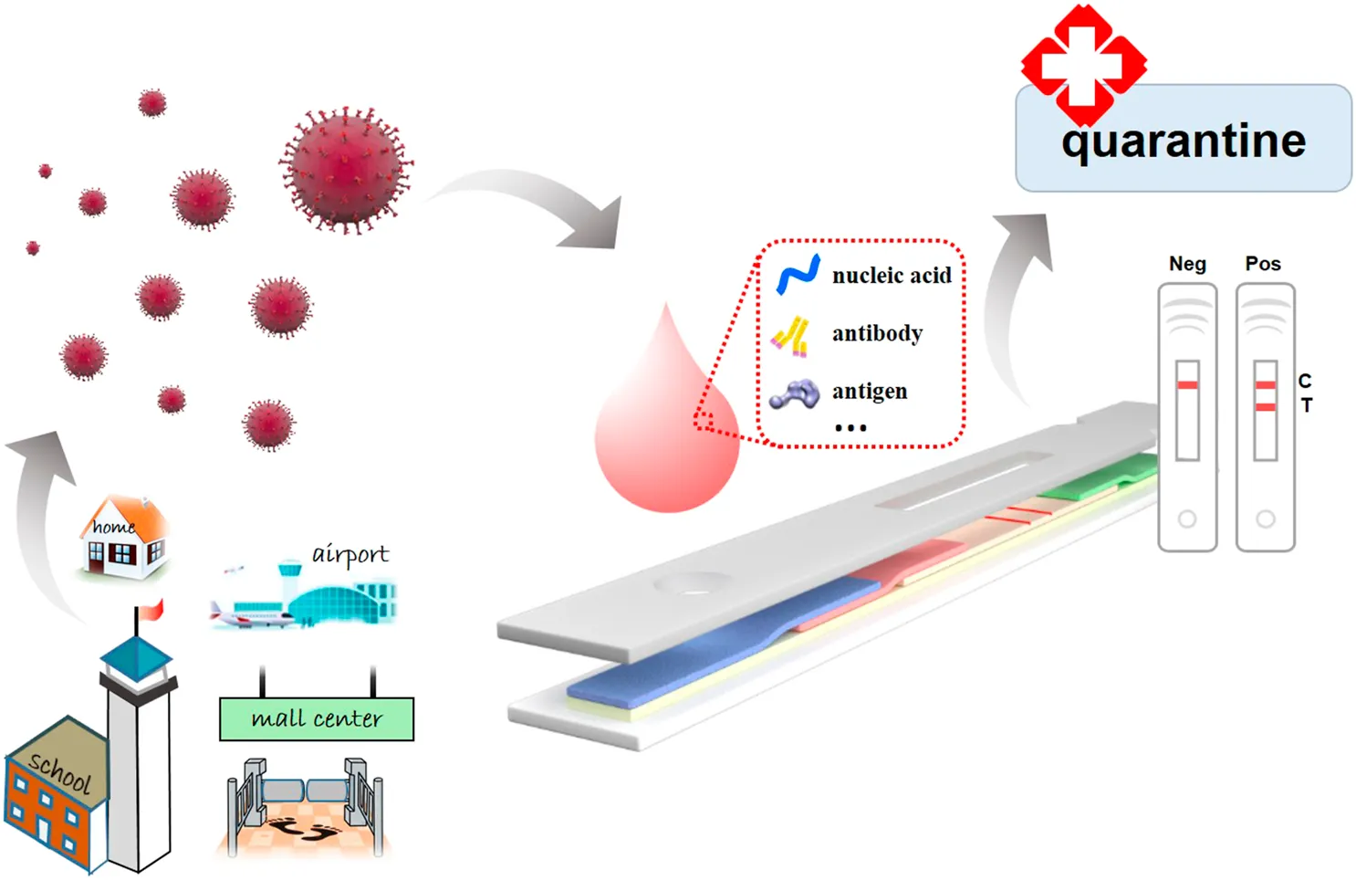 Frontiers | Recent Progress on Rapid Lateral Flow Assay-Based
