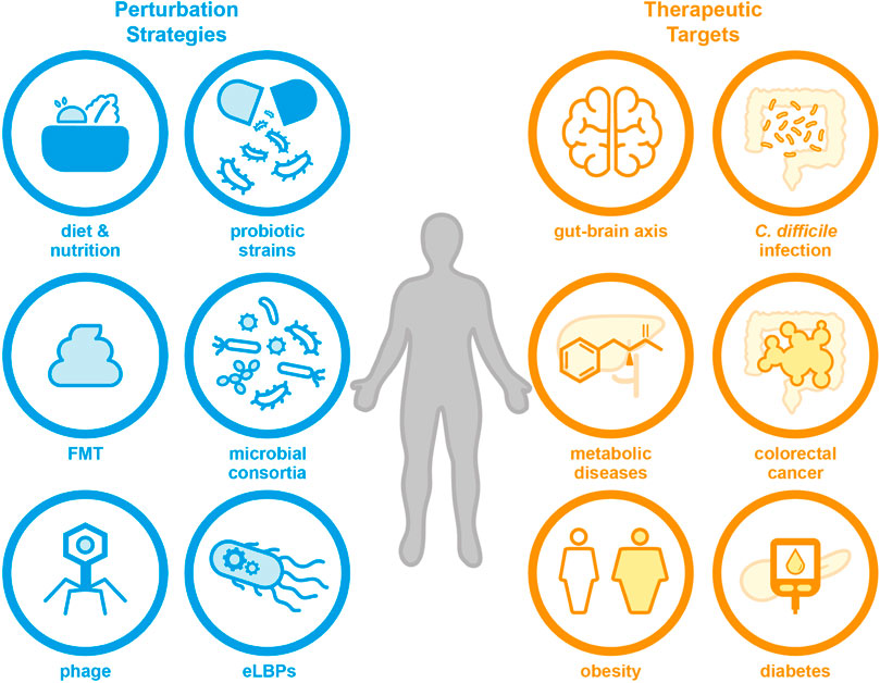 Frontiers  Microbiome engineering: engineered live biotherapeutic products  for treating human disease