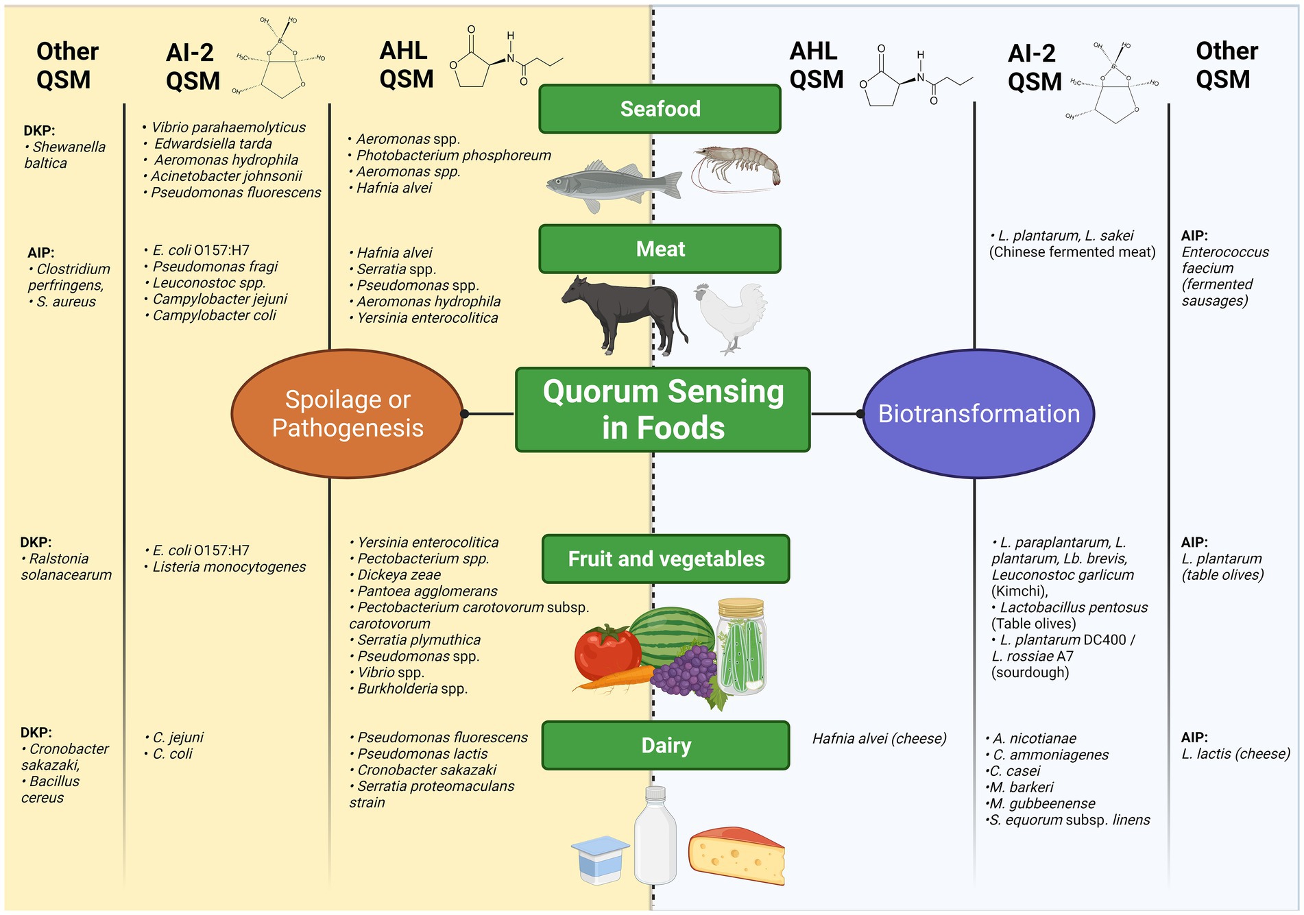 Webinar Equilibrium & HIFAS-Microbiota, las nuevas sinergias de Hifas da  Terra.