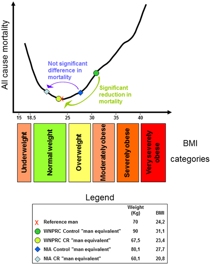 Frontiers How Much Should We Weigh For A Long And Healthy Life