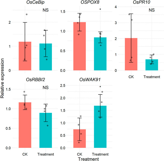 qpcr data presentation