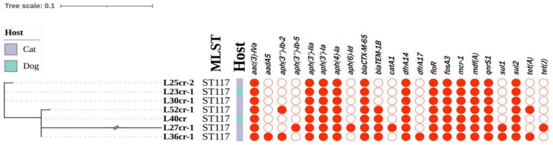 www.frontiersin.org
