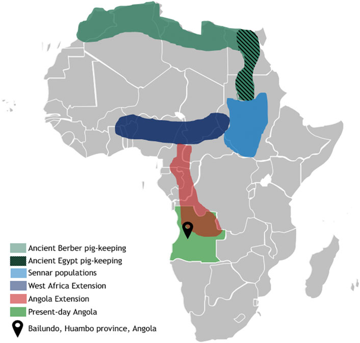 www.frontiersin.org