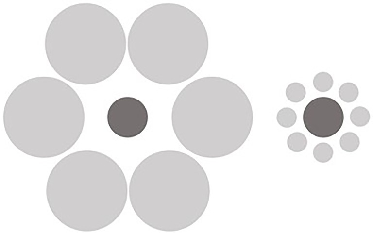 Independent Aftereffects of Fat and Muscle: Implications for neural  encoding, body space representation, and body image disturbance