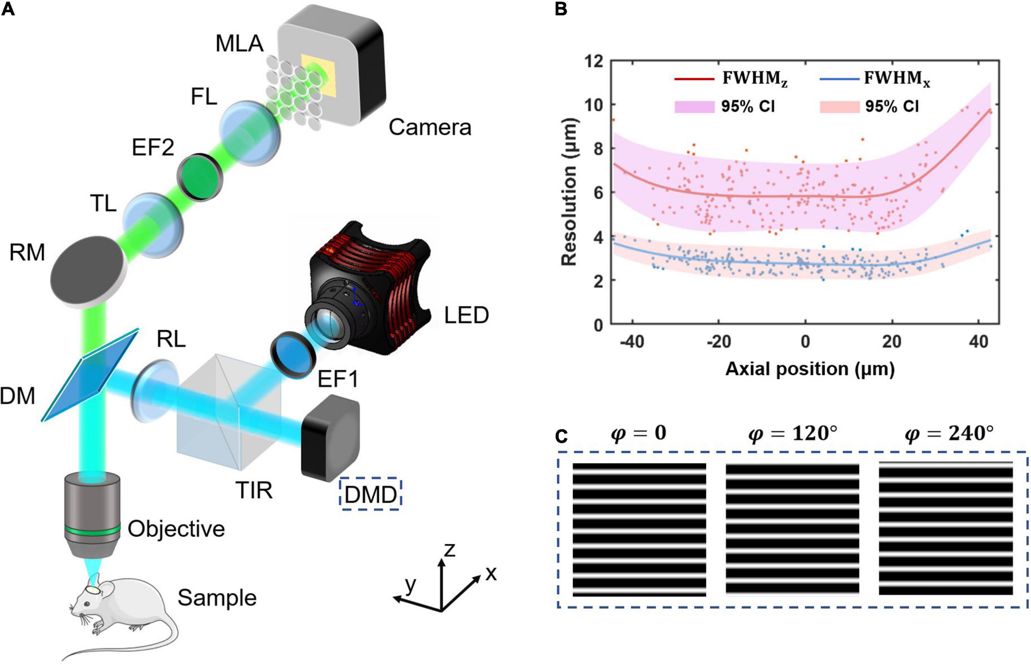 Frontiers Background Inhibited And Speed loss free Volumetric Imaging