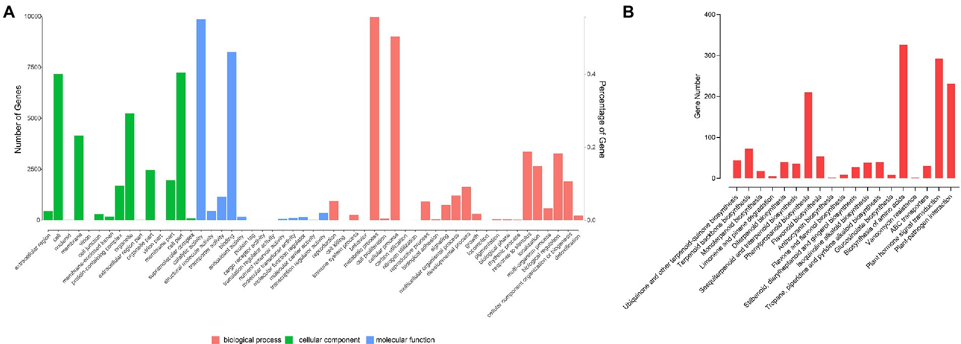 Tea Tree Genome Sequenced, Genetics