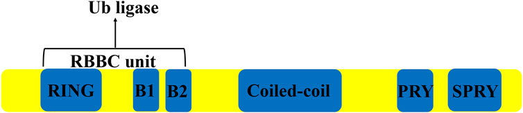 www.frontiersin.org