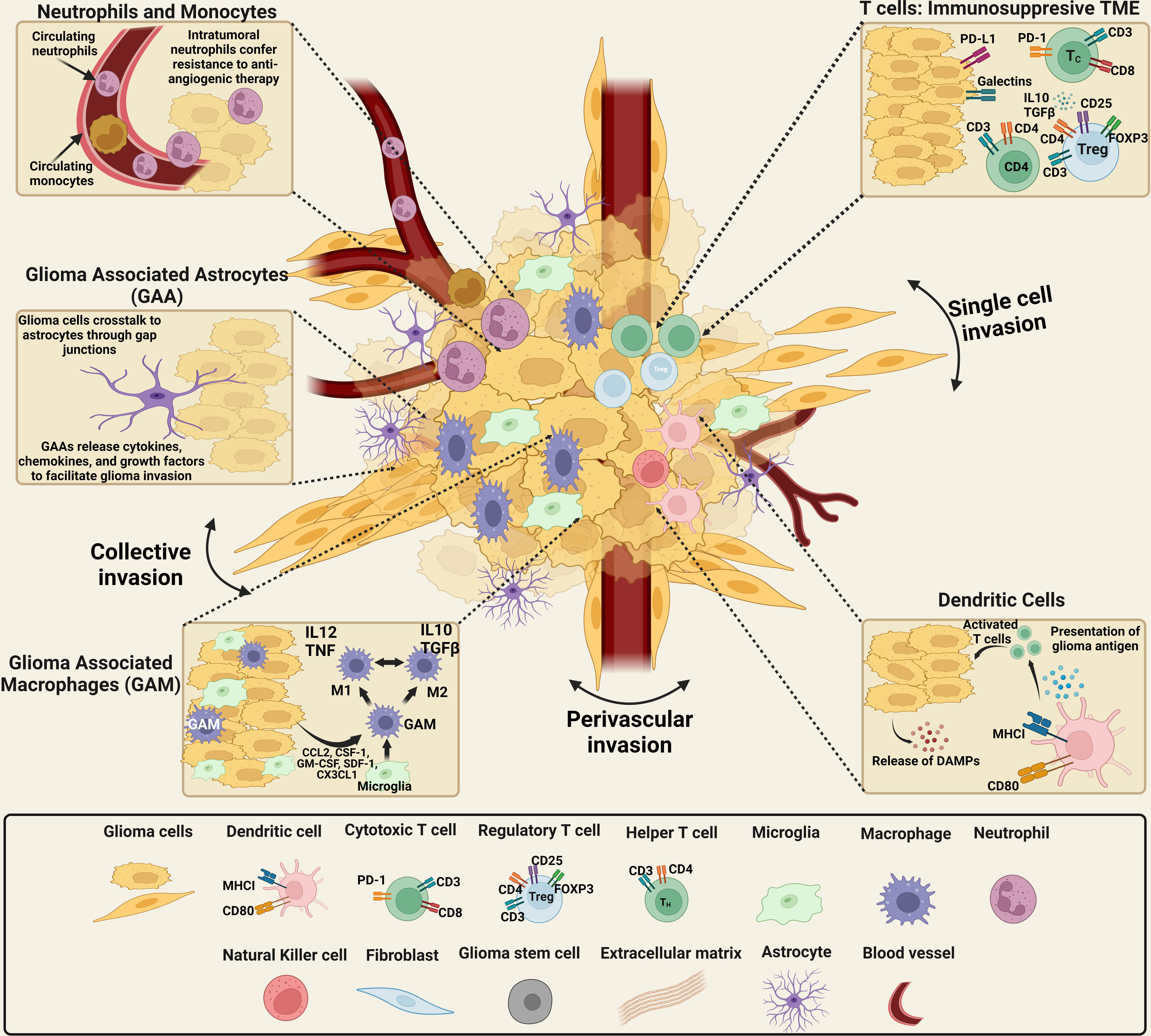 Frontiers | The complex interactions between the cellular and non-cellular  components of the brain tumor microenvironmental landscape and their  therapeutic implications