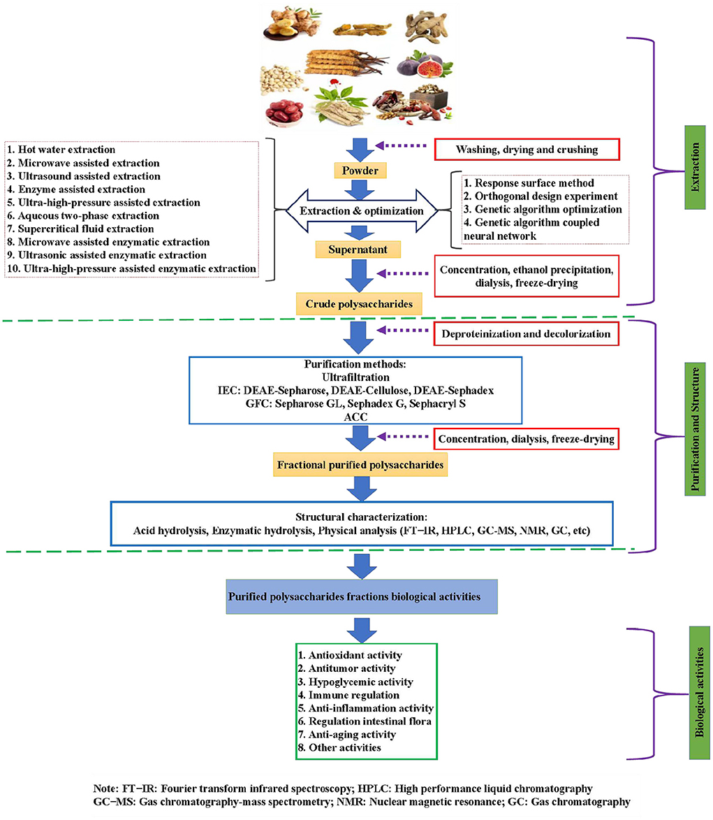 Frontiers  Extraction, purification, structure, modification, and  biological activity of traditional Chinese medicine polysaccharides: A  review